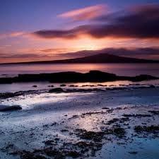 نیدہ دار avatar