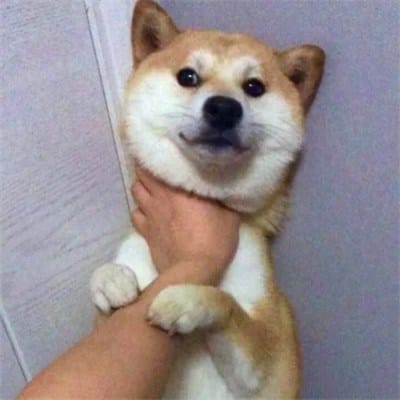 حامد شہباز avatar