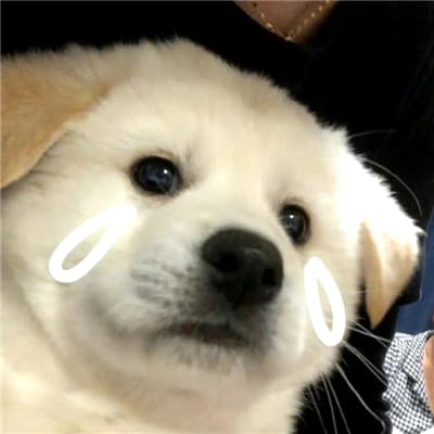 محمد یوسف avatar