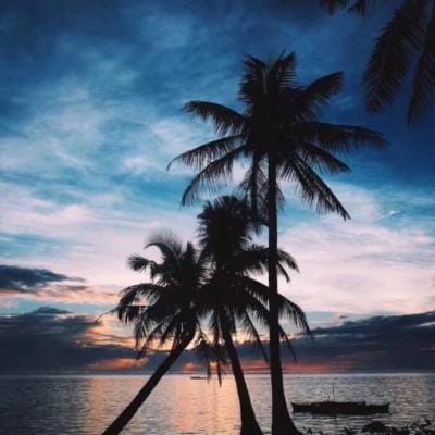 سانم سعید avatar